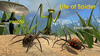 Life of Spider скриншот 1