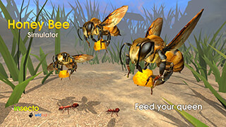 Honey Bee Simulator скриншот 1