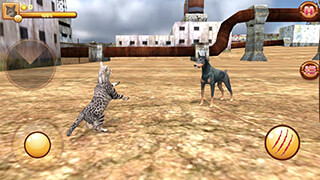 Homeless Cat Simulator скриншот 1