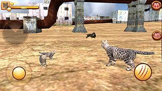 Homeless Cat Simulator скриншот 2
