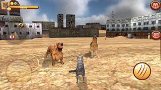 Homeless Cat Simulator скриншот 4