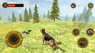 Wild Dog: Survival Simulator скриншот 4