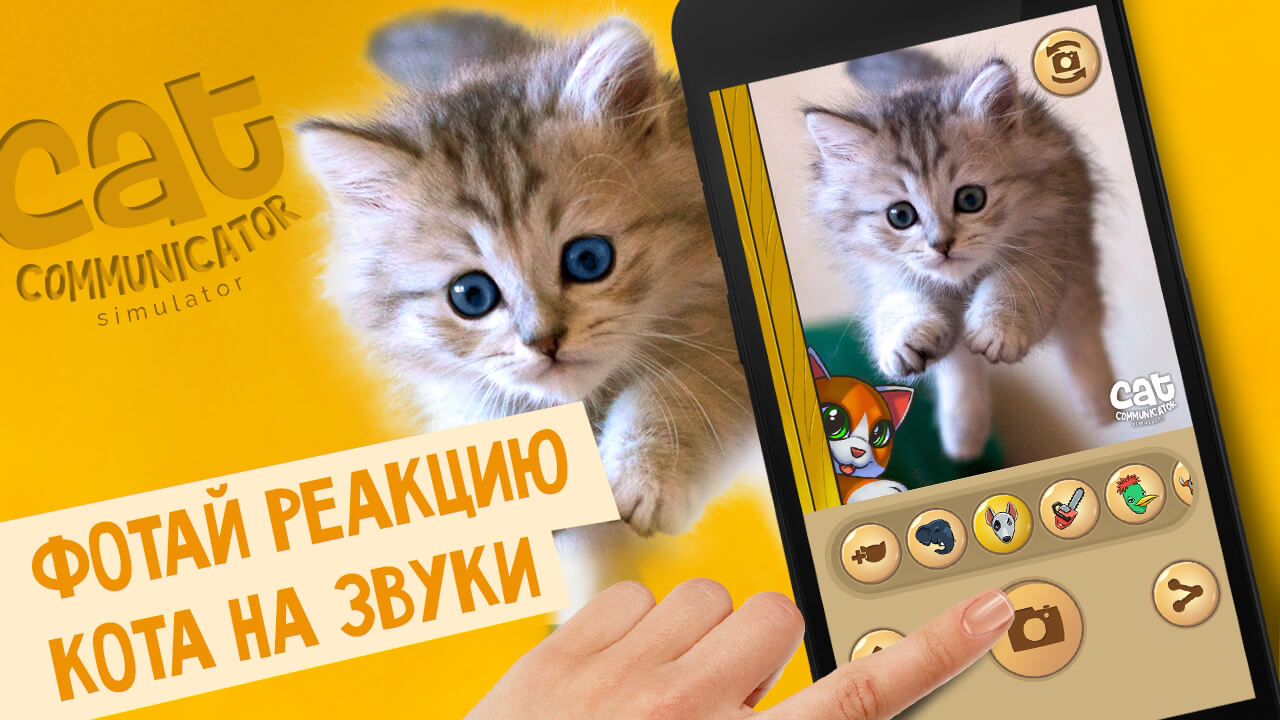 Кэт на русском языке. Cat переводчик. Андроид кошка. Переводчик для кошек.