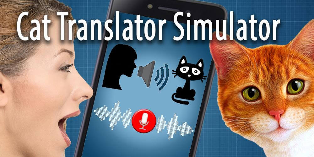 Как переводится кошек