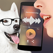 Translator for Dogs: Simulator иконка