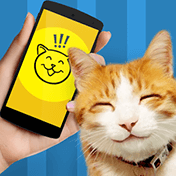 Cat Phrasebook Simulator иконка