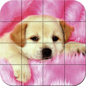 Puzzle: Puppies