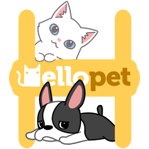 Hellopet: Cute Cats, Dogs and Other Unique Pets