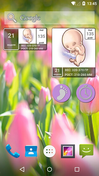 Pregnancy Calendar скриншот 1