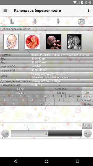 Pregnancy Calendar скриншот 2