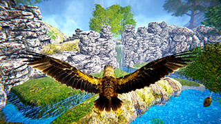 Forest Flying Birds скриншот 1