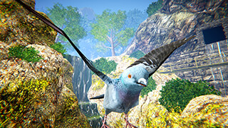 Forest Flying Birds скриншот 2