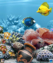 Аквасим 2: Коралловая феерия
