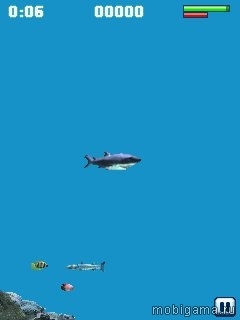 Голодная акула (Hungry Shark)
