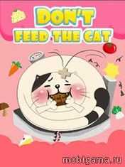 Dont Feed Cat иконка